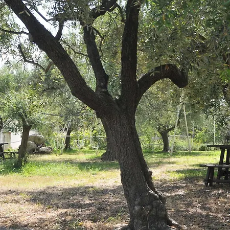 Borgo Degli Ulivi 度假村 3*