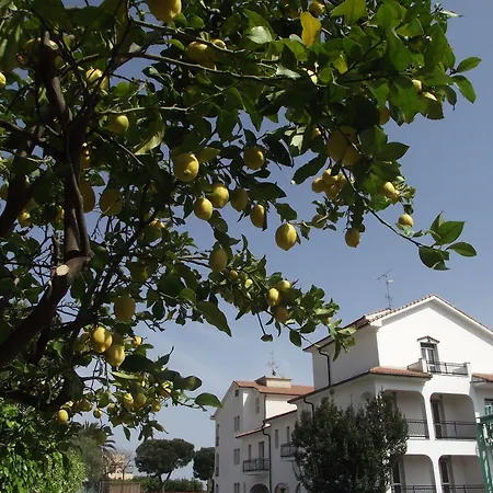 Borgo Degli Ulivi 度假村 3*