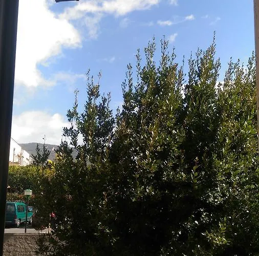 Il Borgo Degli Ulivi بيترا ليغوري
