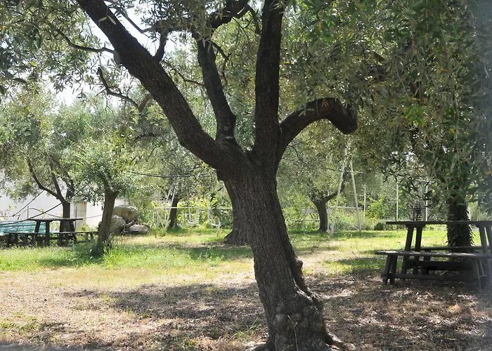 Il Borgo Degli Ulivi فندق 3*