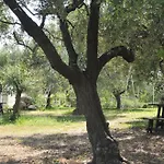 Il Borgo Degli Ulivi Hotel 3*