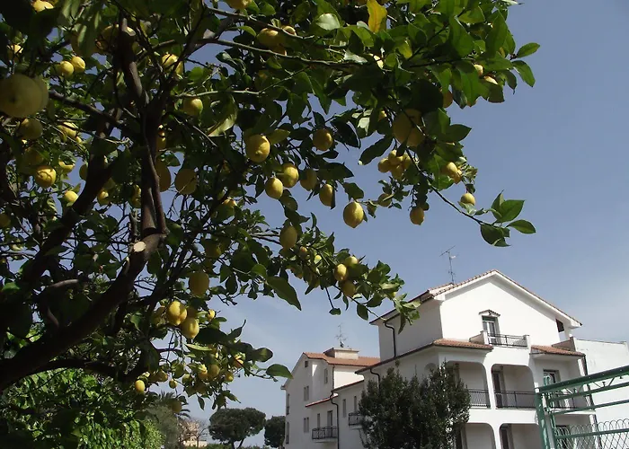 Il Borgo Degli Ulivi Hotel 3*